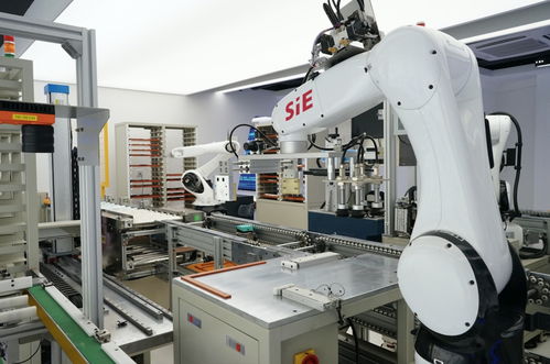 賽意信息董事長張成康 以研發(fā)與并購雙輪驅動，深耕企業(yè)端數(shù)字化業(yè)務