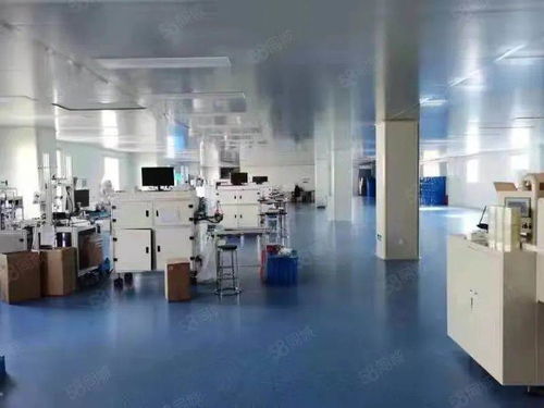 源頭與創新 上海消字號代加工廠與軟件開發的雙軌發展